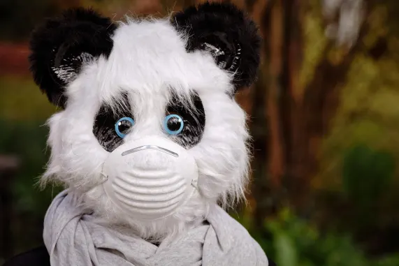 Kasino Eight Storm Tuki